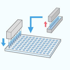 (遺伝子) 核酸抽出　PCRサンプル前処理　質量分析プレート分注